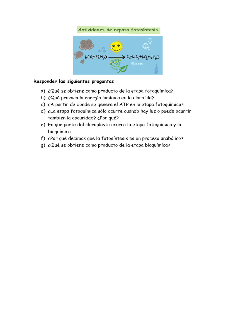 Actividades sobre la fotosíntesis | PDF | Ciencia y matemáticas