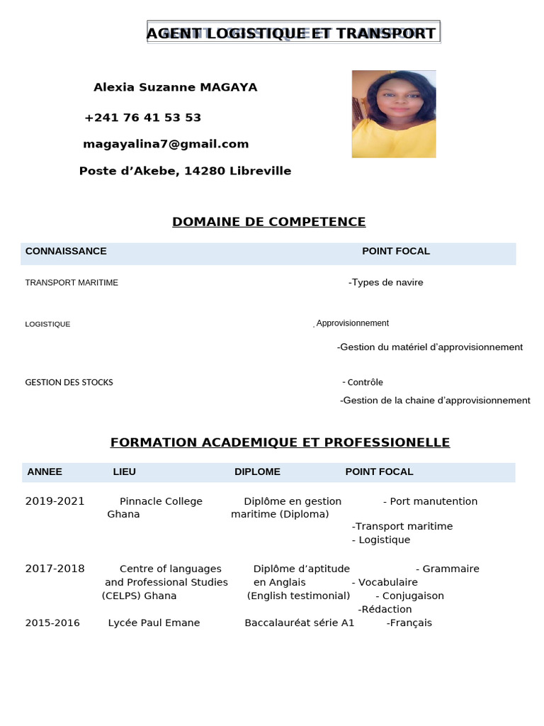 CV Agent Logistique et Transport | PDF | Business | Logistique