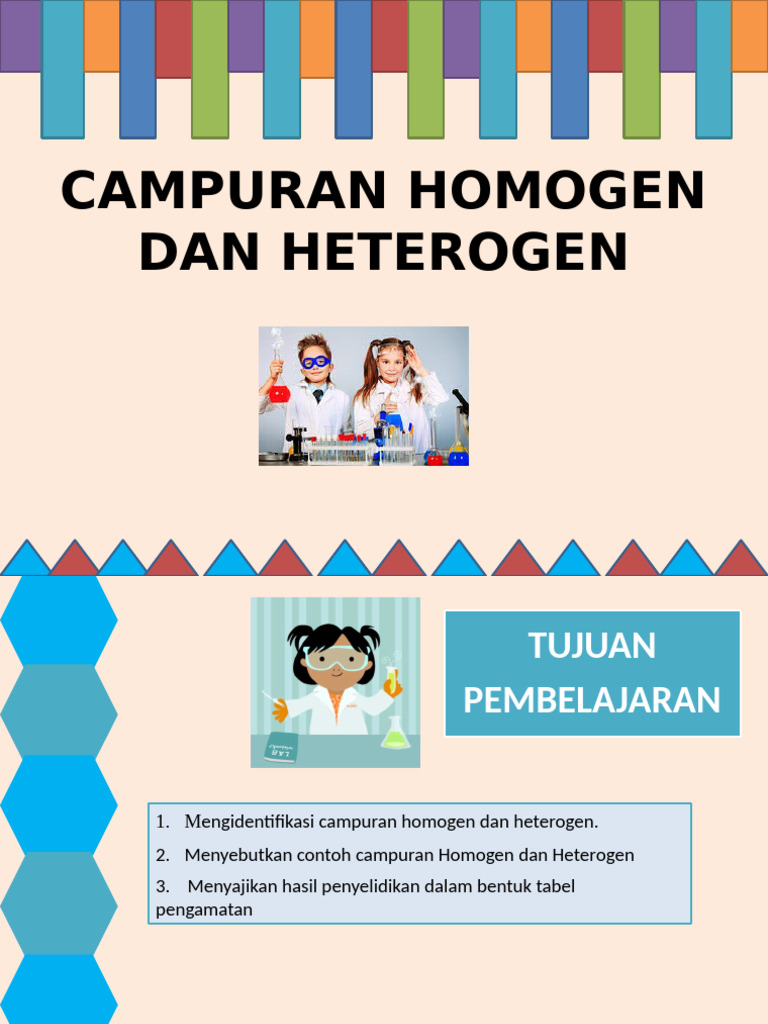 Homogen Dan Heterogen | PDF