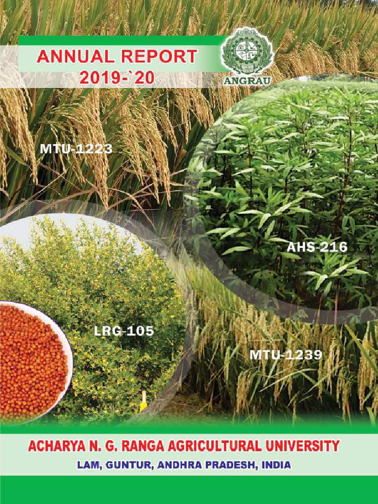 Angrau Ar 2019 20 Final PDF | PDF | Sugarcane | Agriculture