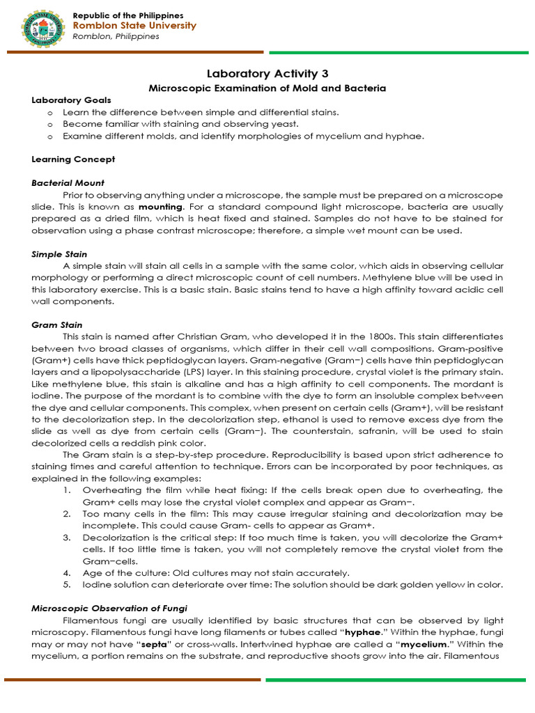 Food Micro Lab Activity 3 | PDF | Staining | Mycology
