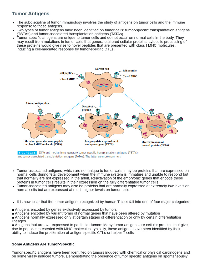 Some Antigens Are Tumor-Specific | PDF