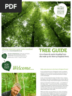 Thorpe Trees Catalogue | PDF | Beech | Plants