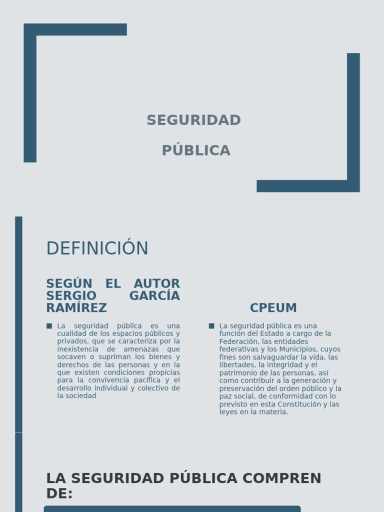 Seguridad Pública | PDF