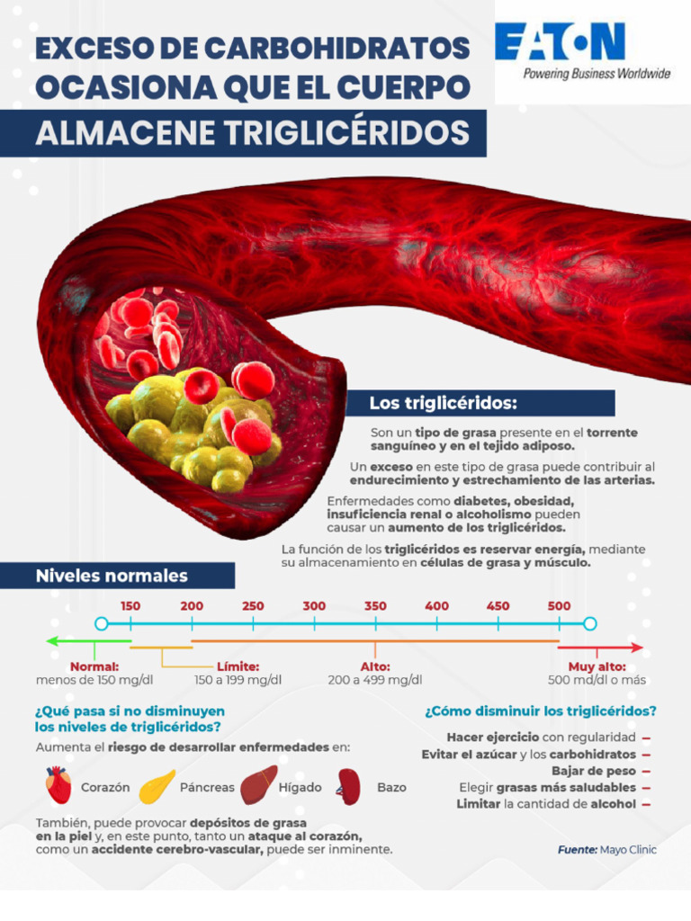 Info Dislip | PDF