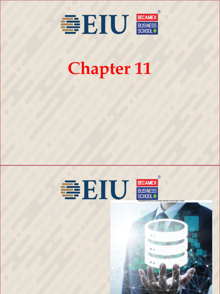 INFO 101 Chapter 11 - Databases | PDF | Databases | Relational Model