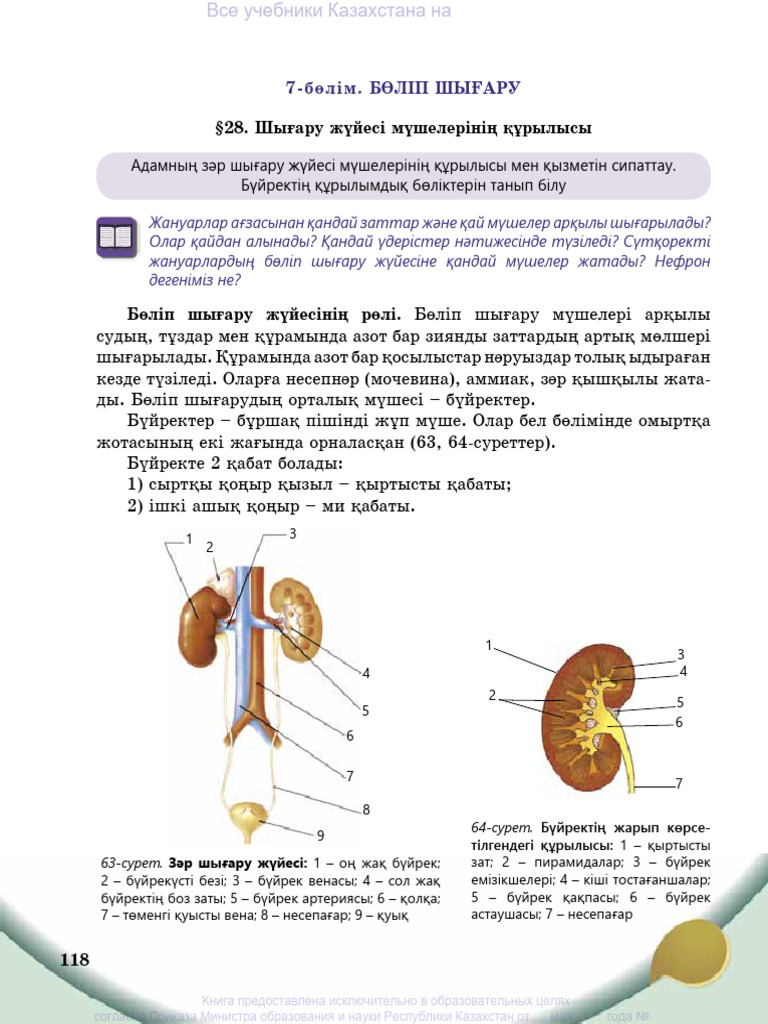 Орыс қыздар кавказдық еркектермен секс видео
