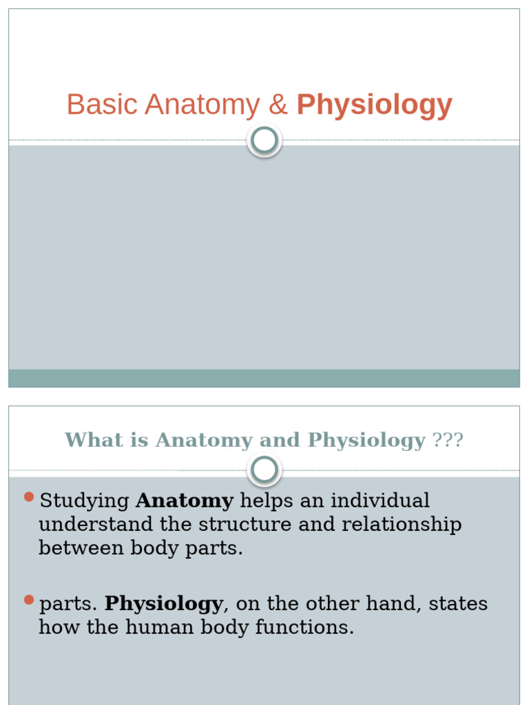 Anatomy and Physiology Overview | PDF | Skeleton | Human Body