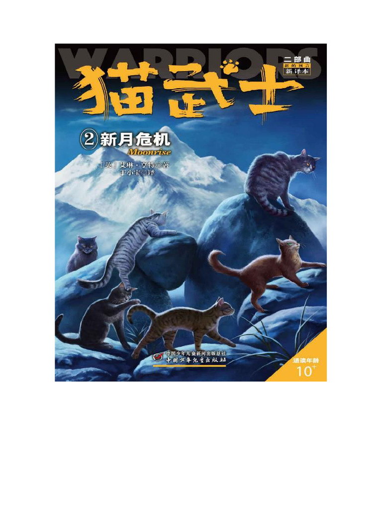 赛级布偶猫-赛级布偶猫促销价格、赛级布偶猫品牌- 淘宝, image size:768x1024