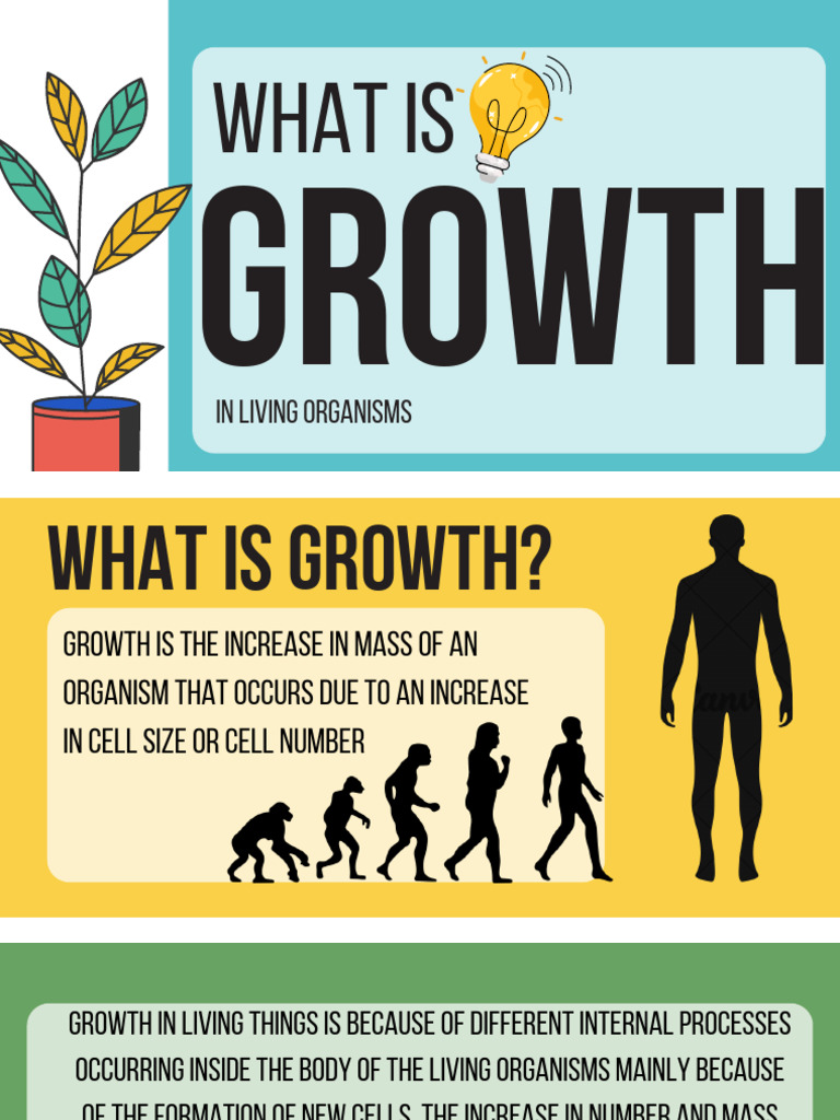 Growth 20241010 091744 0000 | PDF
