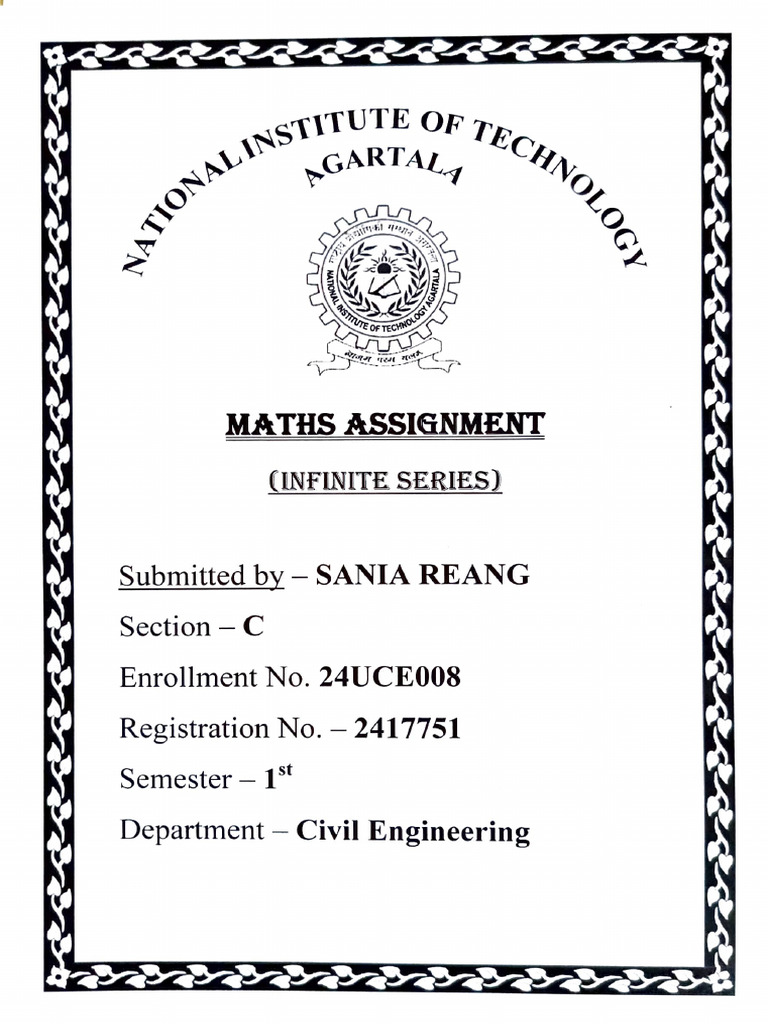 Maths Assignment (Infinite Series) | PDF