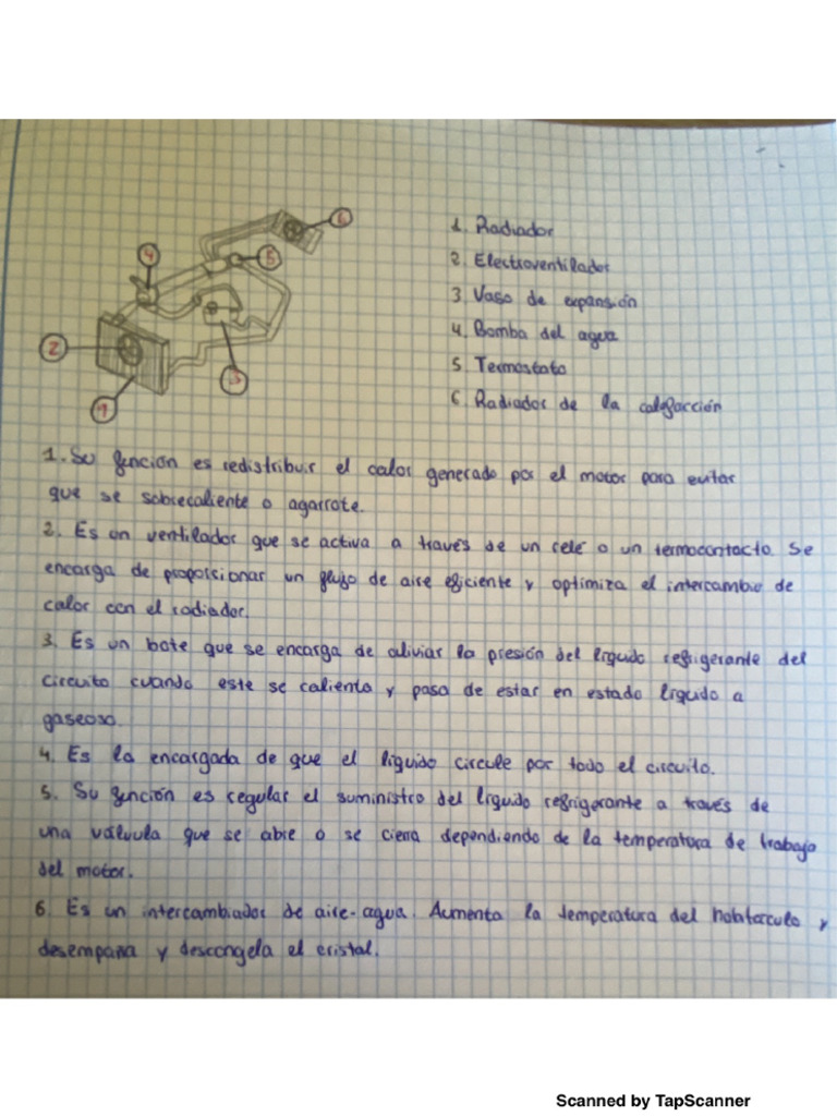 Alberto 5 | PDF