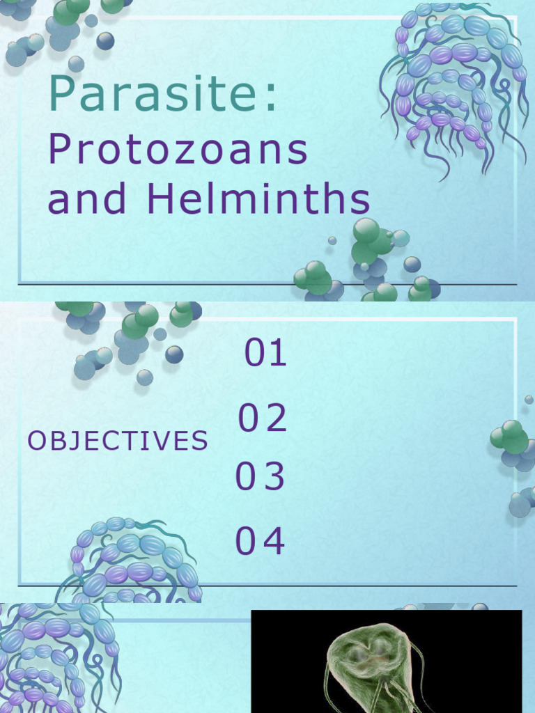 Understanding Protozoa and Parasites | PDF | Protozoa | Parasitism