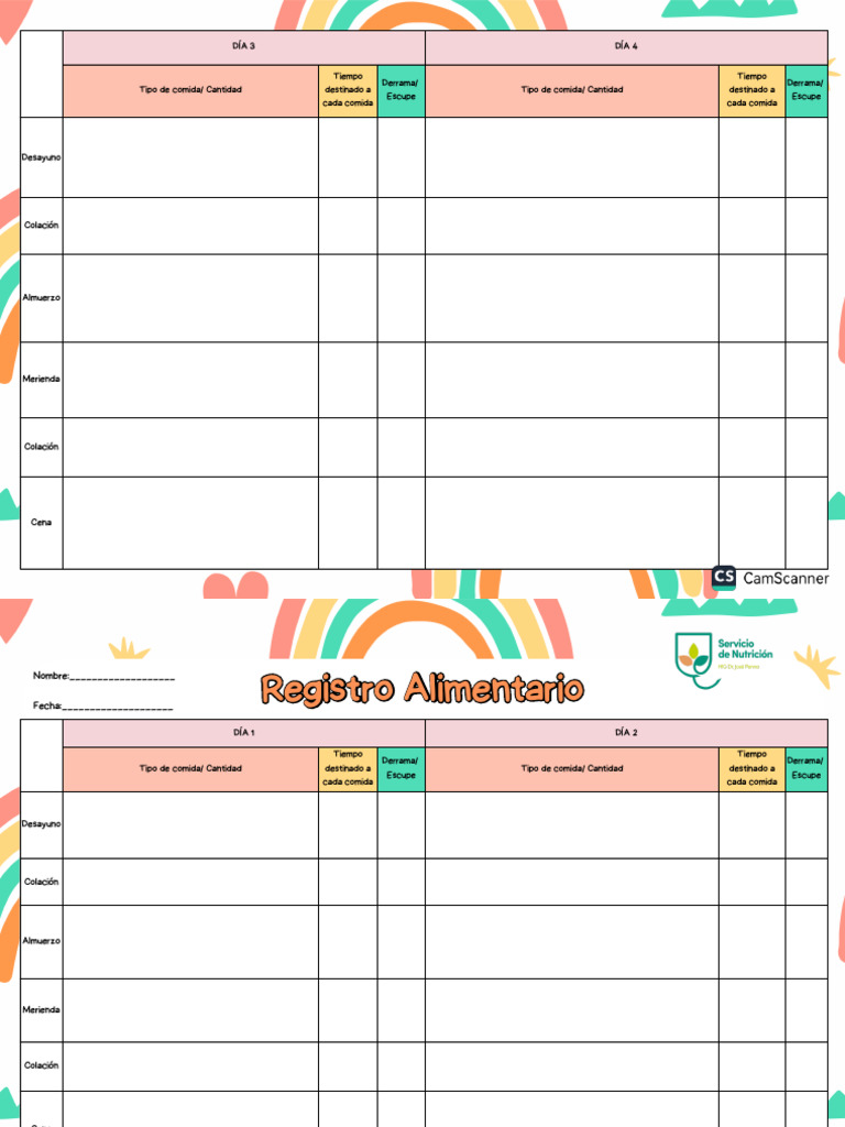 registro-diario-de-comidas-y-tiempos-pdf