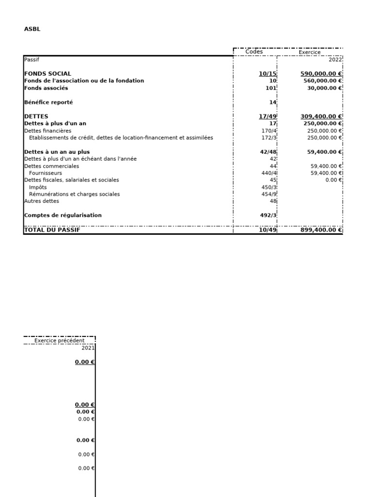 Bilan 2022 de l'ASBL Clef de Vie | PDF | Dettes | Immobilisations