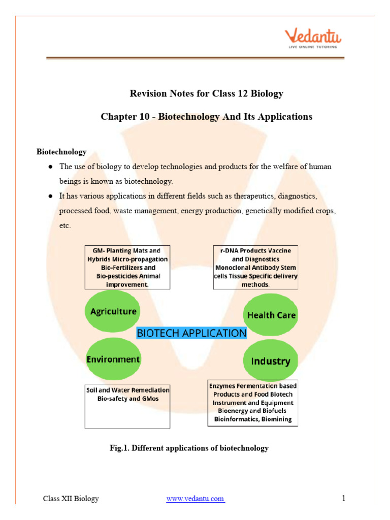 Class 12 Biology: Biotechnology Notes | PDF | Genetically Modified ...