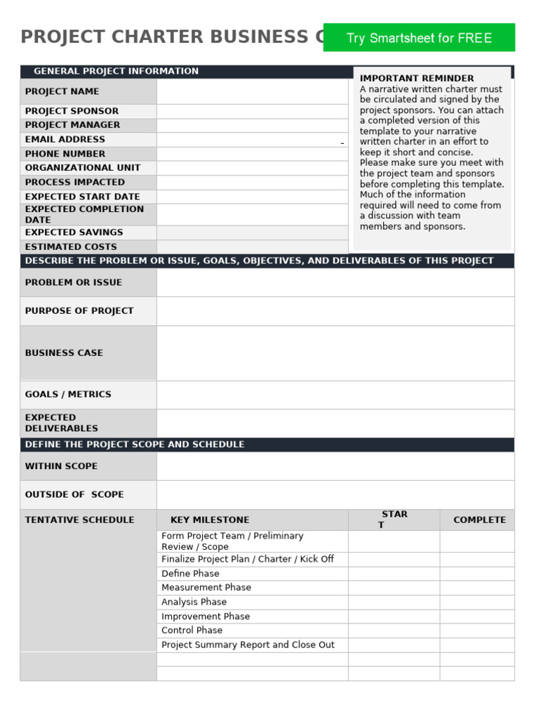 IC Project Charter Business Case 8556 WORD | PDF | Information ...