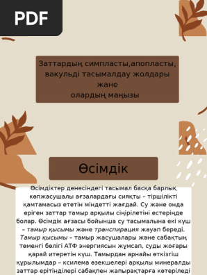 Олар сандыққа әртүрлі заттарды салып, жұлқынып тастайды.