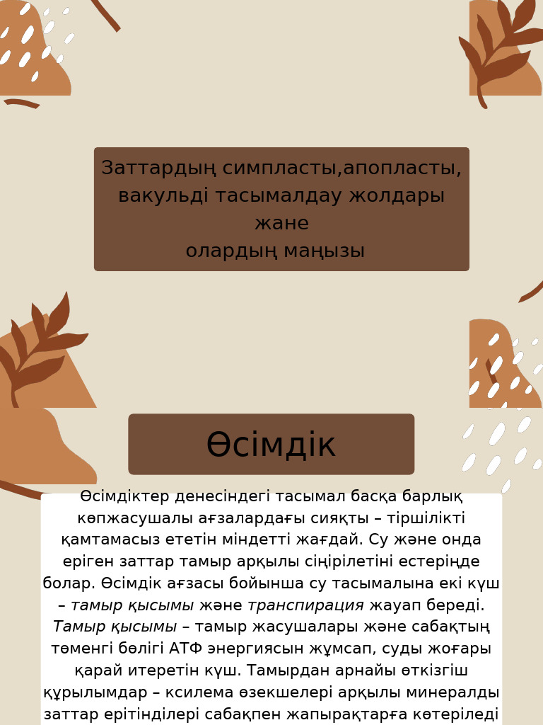 Анустағы алып заттар