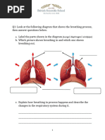 Grade 5 Science Term 1 Assessment | PDF | Circulatory System | Blood