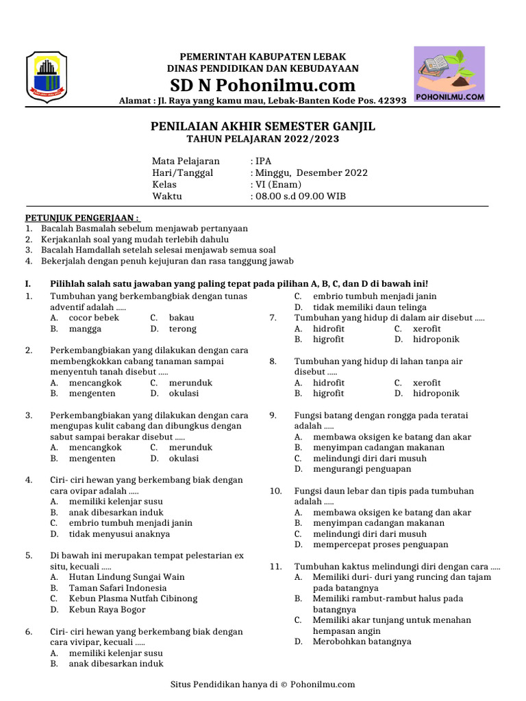 Pas I Ipa Vi | PDF