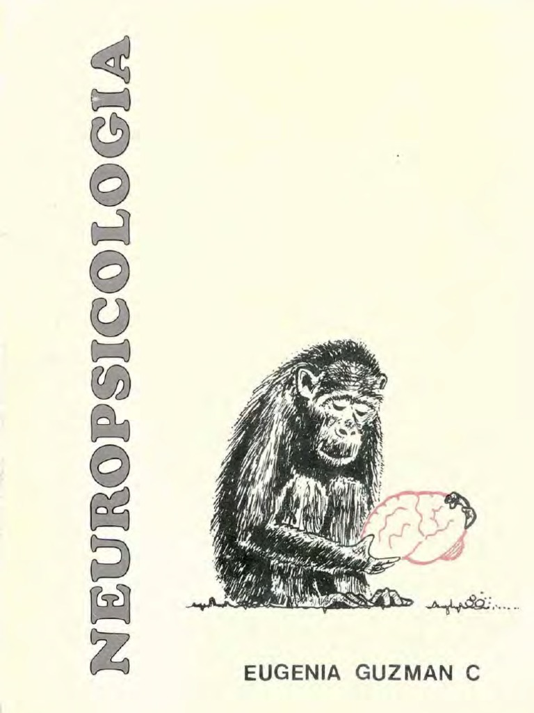 Neuropsicologia Eugenia Guzman c Cerebral Hemisphere