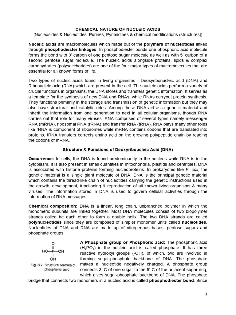 Chemical Structure of Nucleic Acids | PDF | Nucleic Acids | Dna