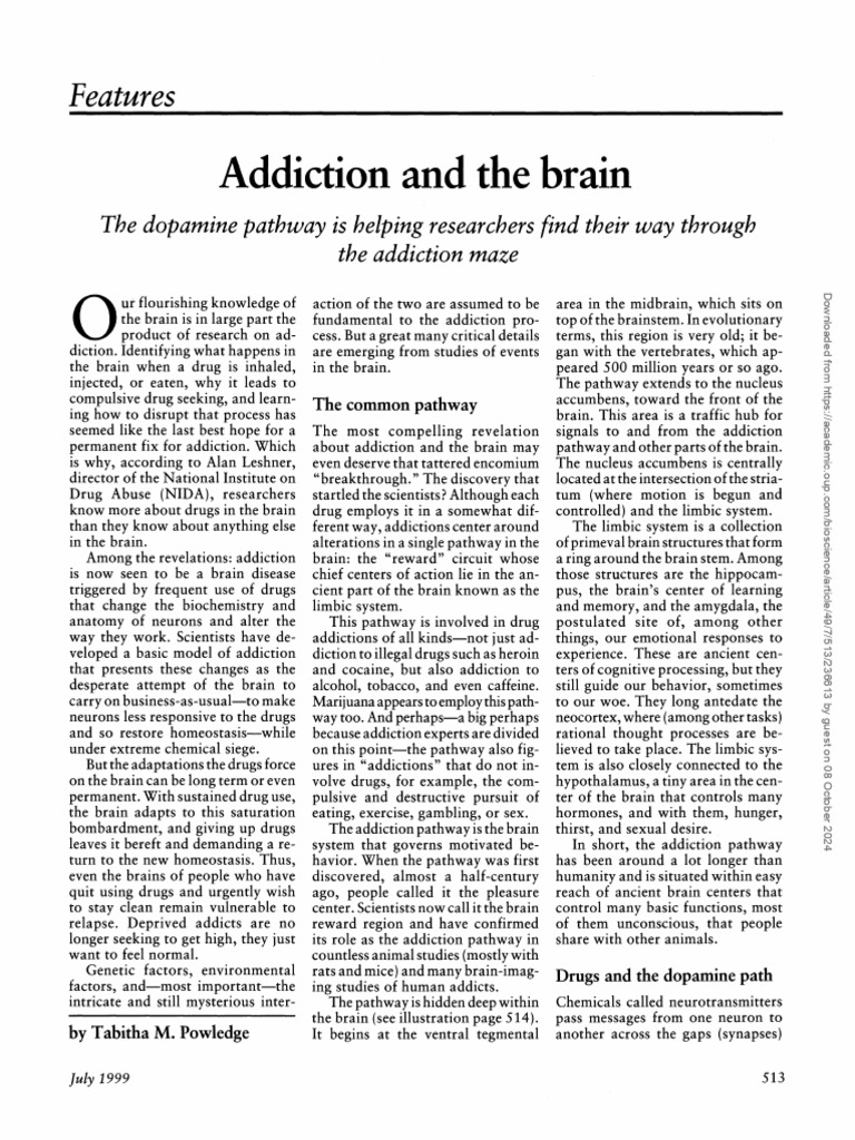 Addiction and The Brain | PDF | Dopamine | Neurotransmitter