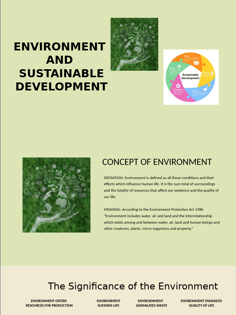 TRISHA ECO The Environment and Sustainable Development | PDF ...