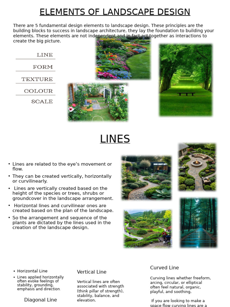 Landscape | PDF | Soil | Symmetry