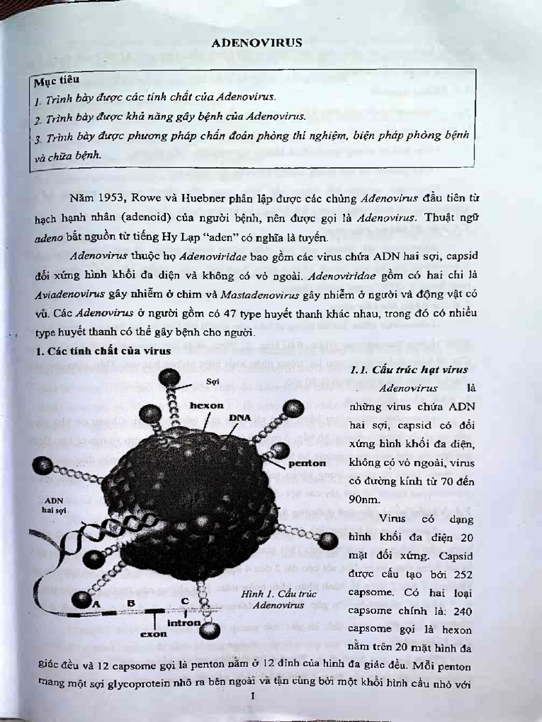 Sách Vi Sinh | PDF