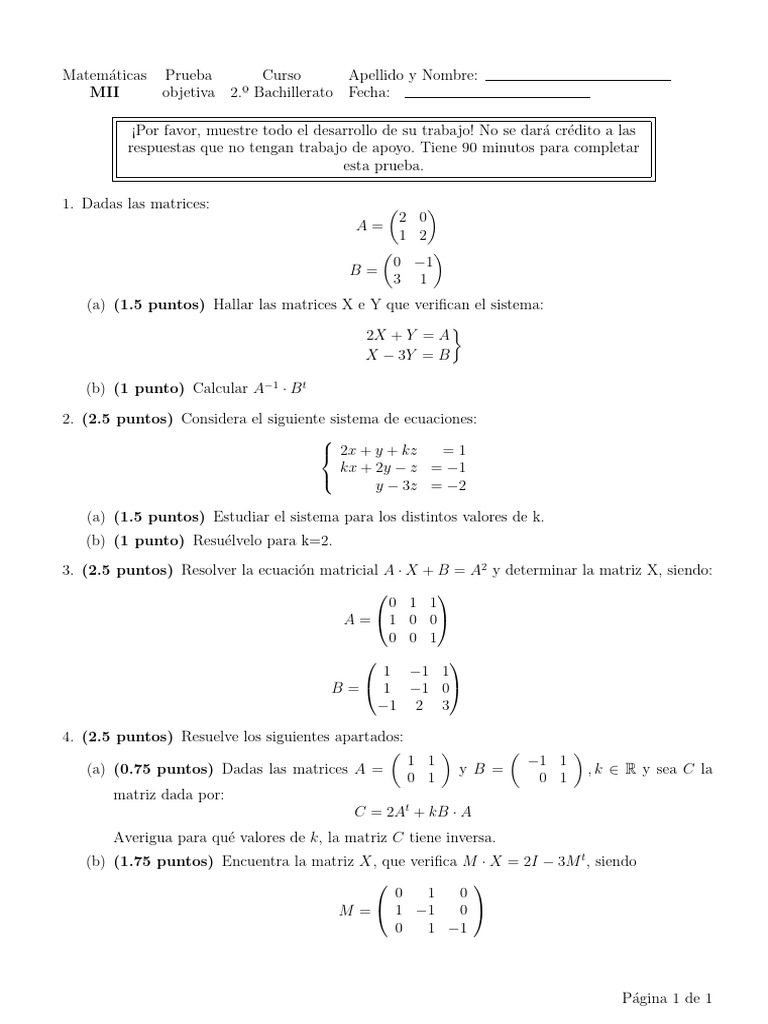 Auto Matrix | PDF | Matriz (Matemáticas) | Matemáticas