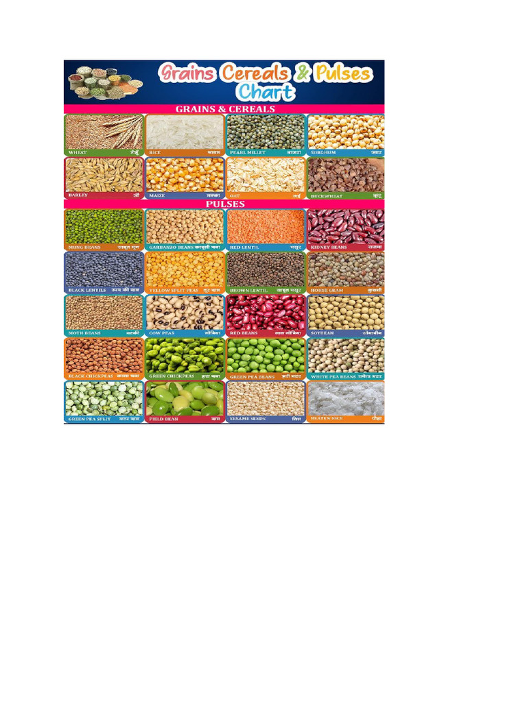 Cereals and Pulses | PDF