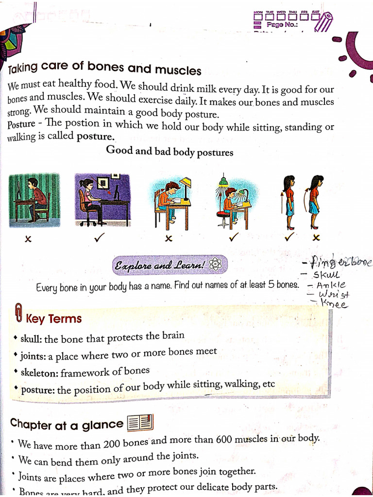 Science Chapter 7 | PDF