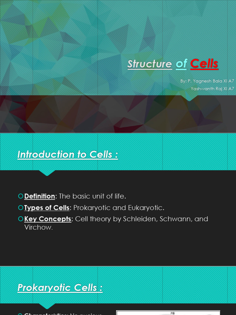 Overview of Cell Structures and Functions | PDF | Science & Mathematics