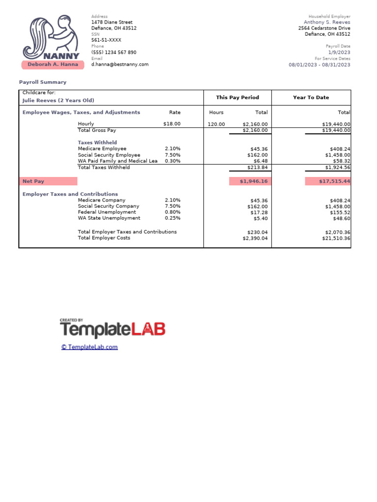 Nanny Pay Stub Template PDF Payroll Tax Labor