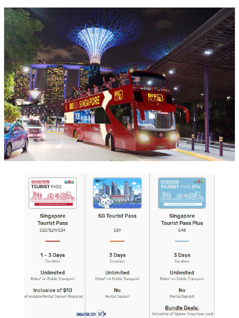 SINGAPORE TOUR GUIDE PDF visual data 2