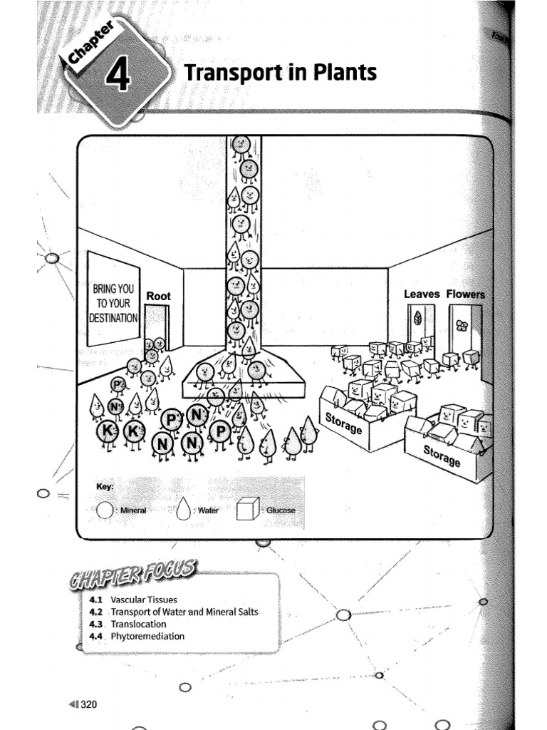 Bio Ting. 5 (Nota Bi) 4 | PDF