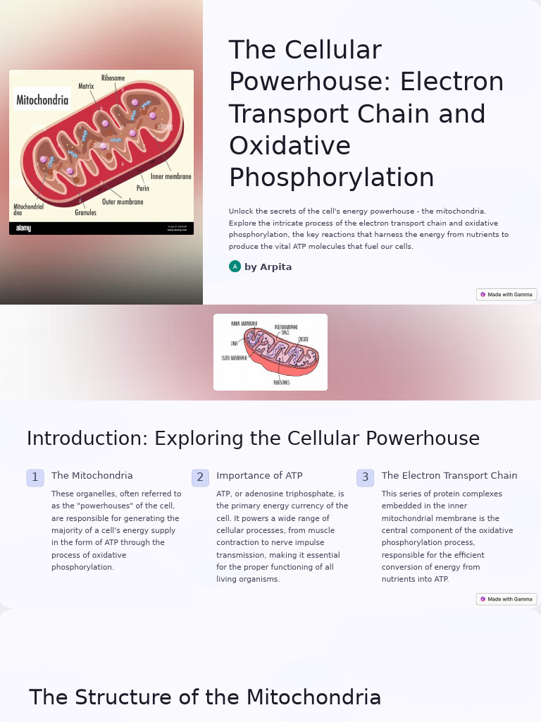 The Cellular Powerhouse Electron Transport Chain and Oxidative ...