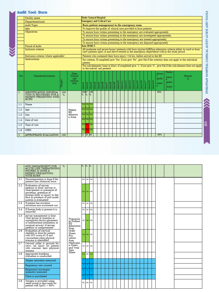 Burn Patient Management Audit Report | PDF | Burn | Clinical Medicine