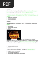 Download CNS Questions by clark146 SN78979095 doc pdf