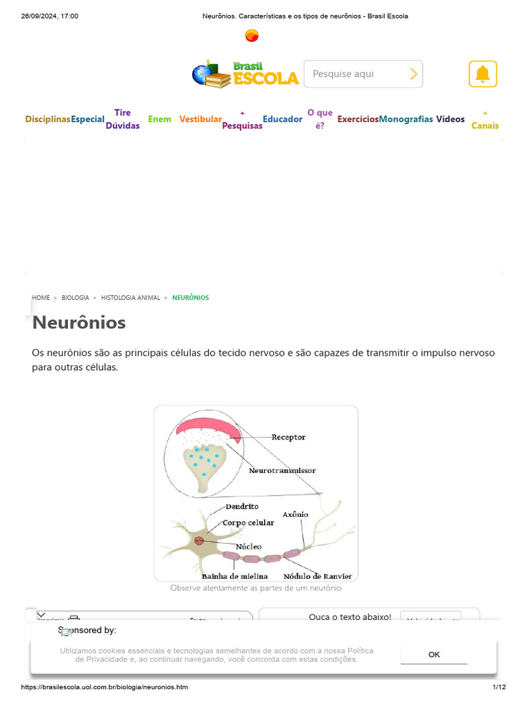 Tipos e Características dos Neurônios | PDF | Axônio | Neurônio