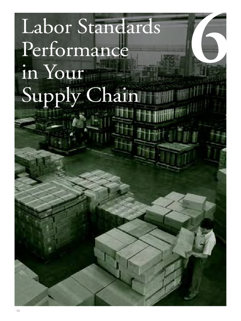Labor Standards in Supply Chains | PDF | Supply Chain | Labour Economics