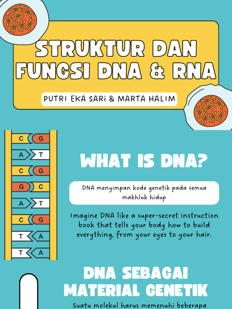 Struktur dan Fungsi DNA & RNA | PDF | Kajian Bahasa Asing | Sains ...