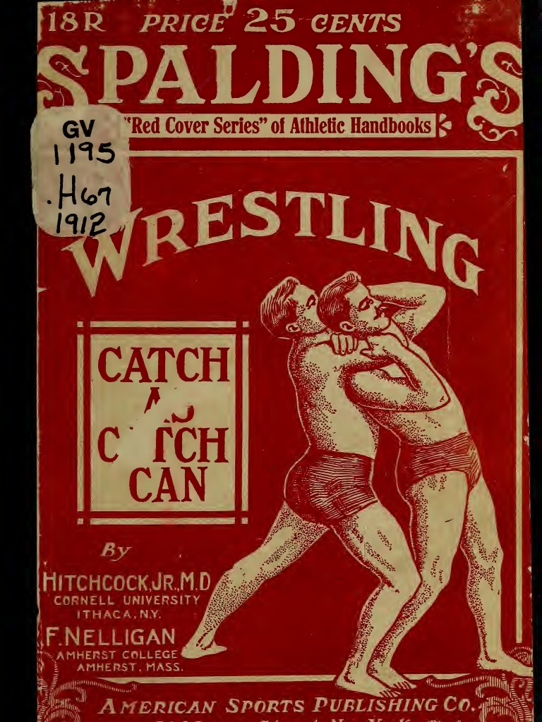 The golden glove book image