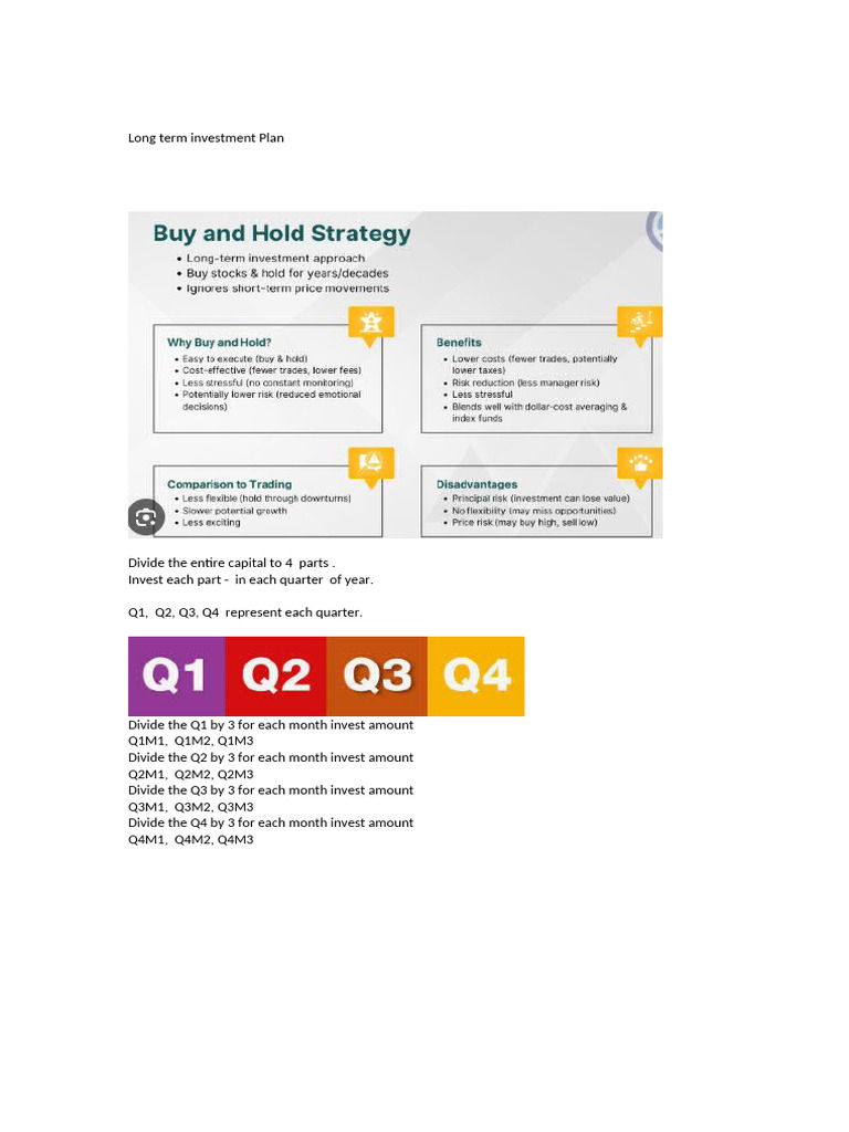 Long Term Plan Strategy | PDF