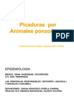 Intoxicacion Por Animales Ponzoños