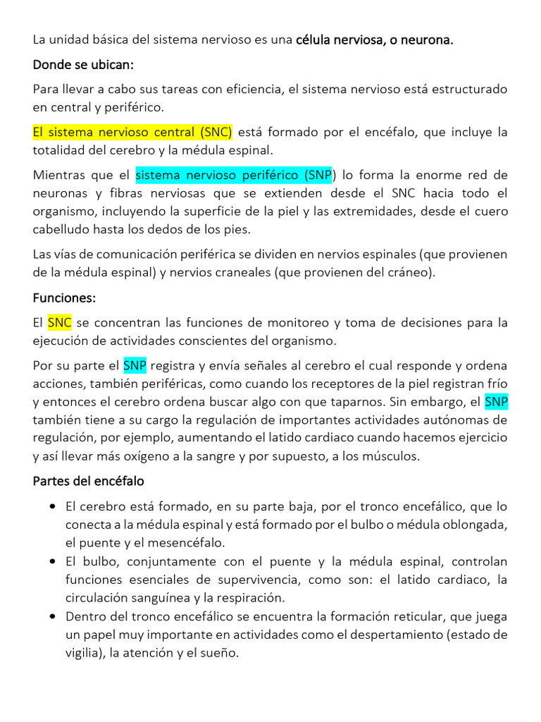 Estructura y Funciones del Sistema Nervioso | PDF | Cerebro | Sistema ...
