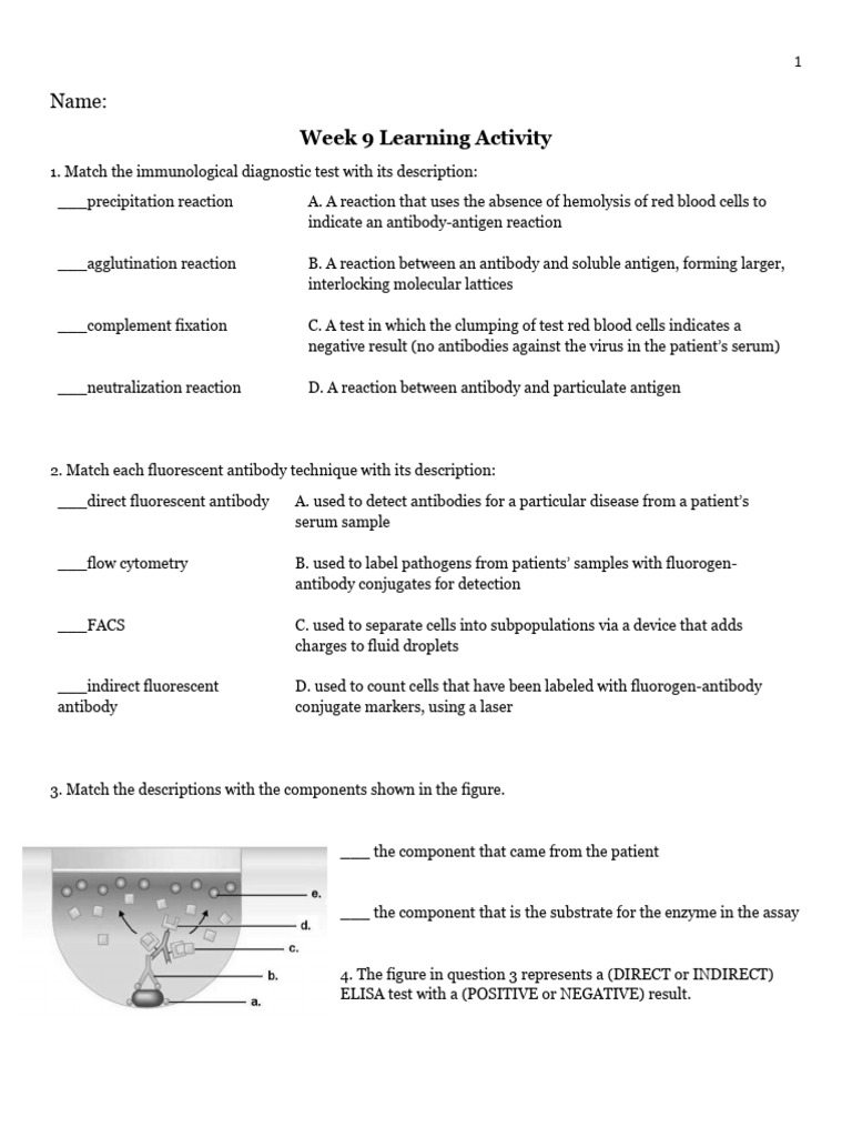 Immunological Test Matching Activity | PDF | Antibody | Elisa