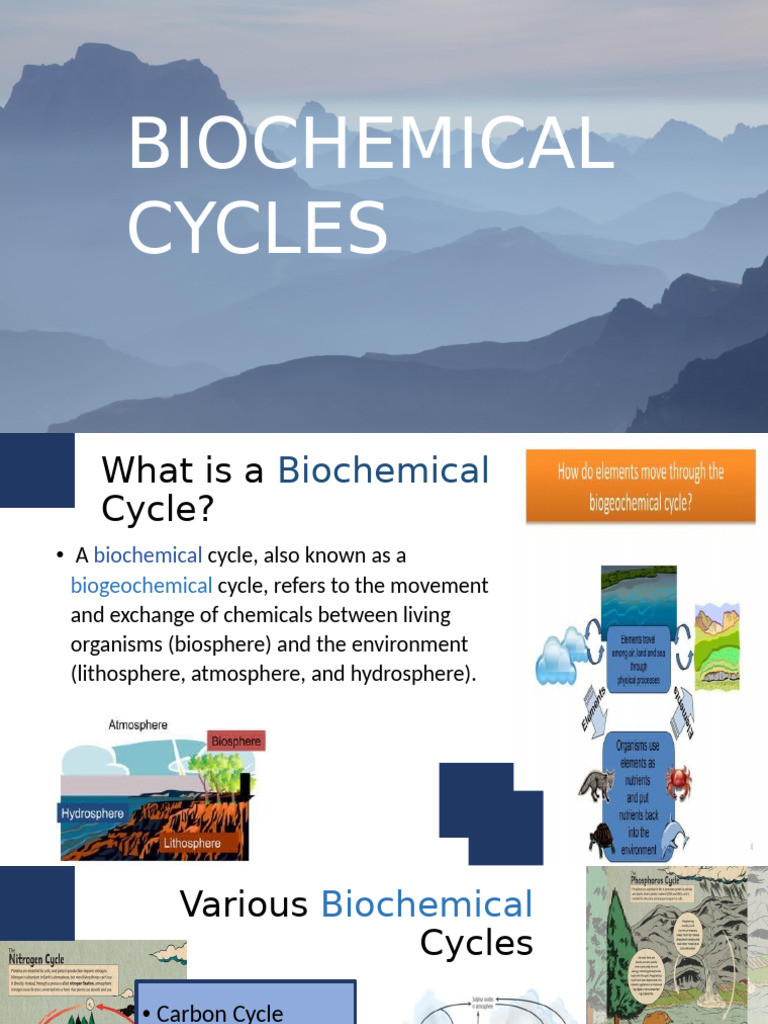 Biochemical Cycles Pdf Systems Ecology Oceanography